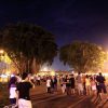 Alun-alun Kidul Jogja [update 2023] : Foto, Lokasi, Rute, Tiket Masuk ...