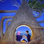 Fasilitas Hutan Pinus Pengger