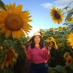 Fasilitas Kebun Bunga Matahari Bantul