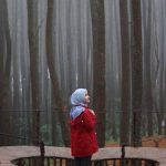 Harga Tiket Masuk Hutan Pinus Asri