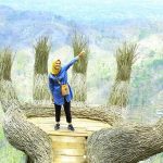 Jam Buka Hutan Pinus Pengger
